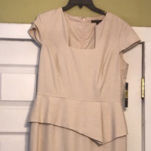 Dress, Antonio melani size 10